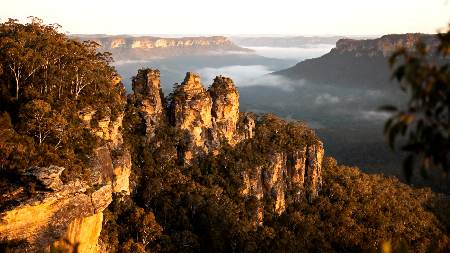 Blue Mountains"